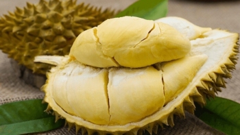 Sầu riêng đông lạnh Việt Nam bứt tốc trên thị trường tỷ dân