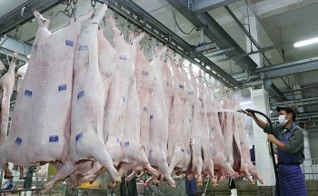 Bộ Nông nghiệp và Môi trường siết quản lý giết mổ động vật