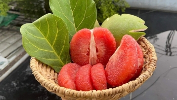 Hạ men gan tự nhiên bằng rau củ