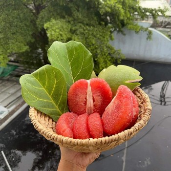 Hạ men gan tự nhiên bằng rau củ