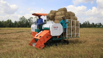 Nông nghiệp tuần hoàn mở lối đi xanh cho đất Cố đô