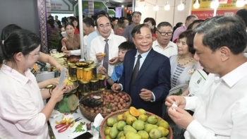 Từ đá tai mèo đến phố đi bộ: Sắc màu Tây Bắc hội tụ ở Lào Cai