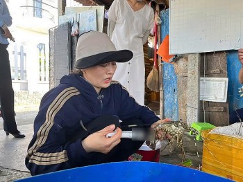 Phát hiện cơ sở ở Phú Yên bơm tạp chất vào tôm hùm chết để bán ra thị trường