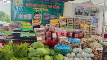 Từ hội chợ đến sàn số, đôi cánh giúp OCOP bay xa