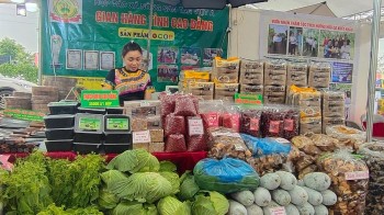 Từ hội chợ đến sàn số, đôi cánh giúp OCOP bay xa