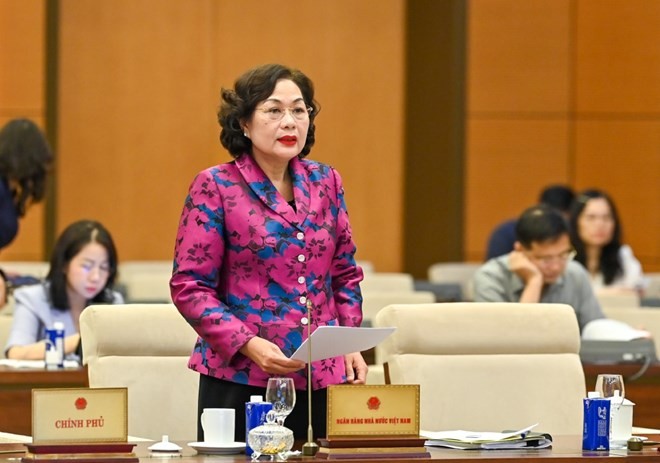 Thống đốc Ngân hàng Nhà nước Nguyễn Thị Hồng giải trình việc cho vay đặc biệt lãi suất 0%/năm, không có tài sản bảo đảm. Ảnh: Phạm Đông