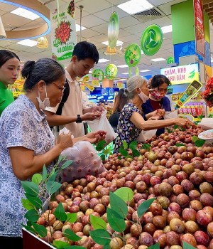 Thương hiệu Việt kể chuyện bằng trải nghiệm xanh