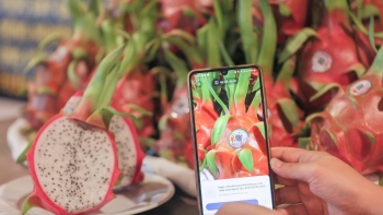 Nhãn hiệu quốc tế: Tấm hộ chiếu cho thương hiệu Việt