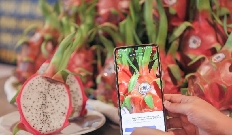 Muốn đi xa hơn, thương hiệu cần được bảo hộ quốc tế