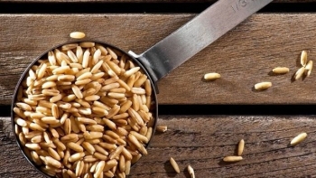 Những món nên dùng lúc đói giúp làm sạch đường ruột