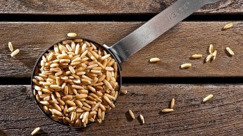 Những món nên dùng lúc đói giúp làm sạch đường ruột