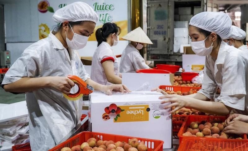 Dù kim ngạch chung sụt giảm, một số mặt hàng rau quả vẫn ghi nhận tăng trưởng tích cực.