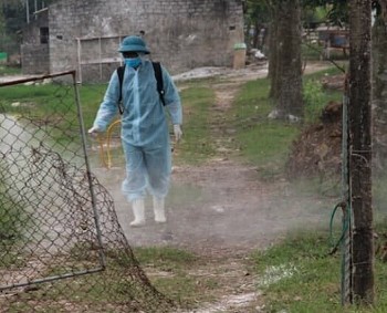 Thanh Hóa quyết liệt phòng, chống dịch tả lợn Châu Phi