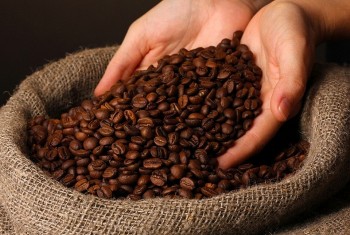 Giá cà phê rơi về vùng thấp mới, robusta chạm đáy 10 tháng