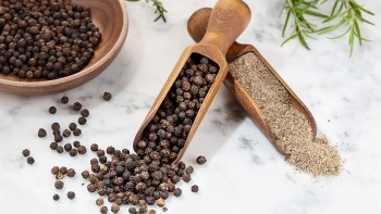 Giá tiêu xuống thấp nhất kể từ đầu tháng 6/2024