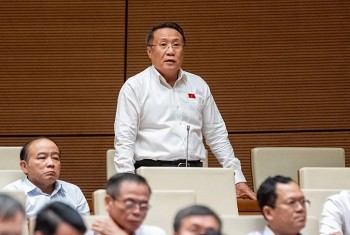 Đại biểu Quốc hội đề xuất giãn lộ trình bỏ thuế khoán