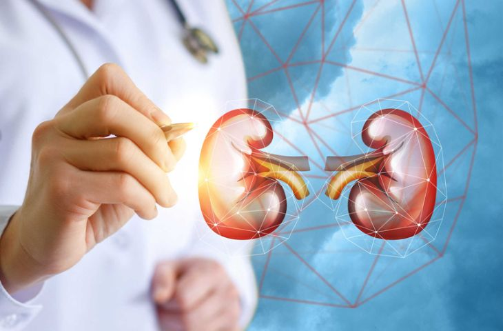 Nước tiểu nổi bọt, lâu tan có thể là dấu hiệu cảnh báo bệnh lý thận, trong đó có suy thận.