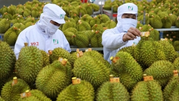 Nông sản Việt vững bước trên hành trình chất lượng