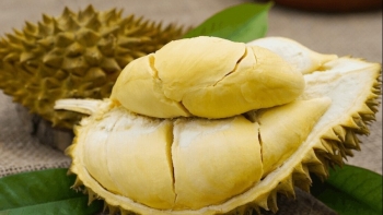 Những điều cần lưu ý khi ăn sầu riêng