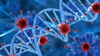 Các hiểu lầm phổ biến về ung thư