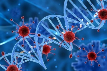 Các hiểu lầm phổ biến về ung thư