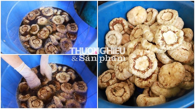 Hồn quê xứ Đoài trong vị cà dầm tương mặn ngọt