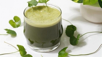 Nhiệt miệng uống gì cho nhanh khỏi?