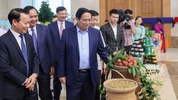 Kiến tạo nông nghiệp sinh thái, nông thôn hiện đại và nâng tầm giá trị thương hiệu Việt