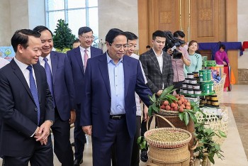 Kiến tạo nông nghiệp sinh thái, nông thôn hiện đại và nâng tầm giá trị thương hiệu Việt