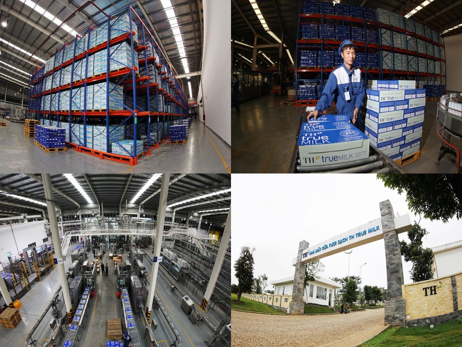 Vinh Quang Việt Nam 2025: TH true MILK – Khát vọng Việt từ ly sữa tươi sạch