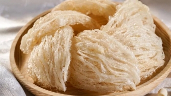 Tổ yến bổ dưỡng, nhưng không phải ai cũng nên dùng