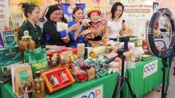 Chuyển đổi số HTX không thể làm theo phong trào