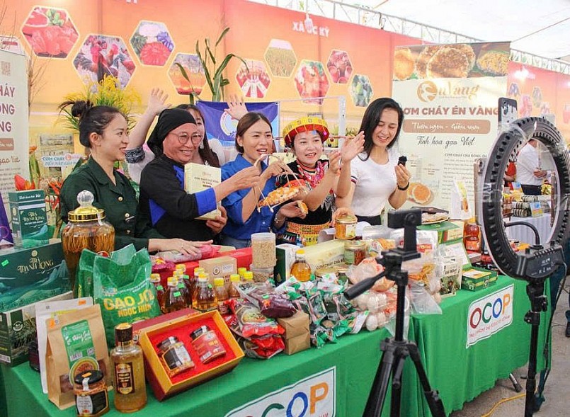 Chuyển đổi số HTX không thể làm theo phong trào Chuyển đổi số HTX không thể làm theo phong trào