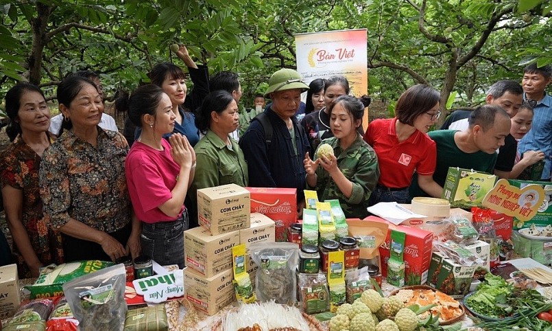 Chuyển đổi số HTX không thể làm theo phong trào Chuyển đổi số HTX không thể làm theo phong trào