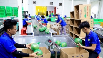 Chủ động kiểm soát chất lượng nông sản xuất khẩu