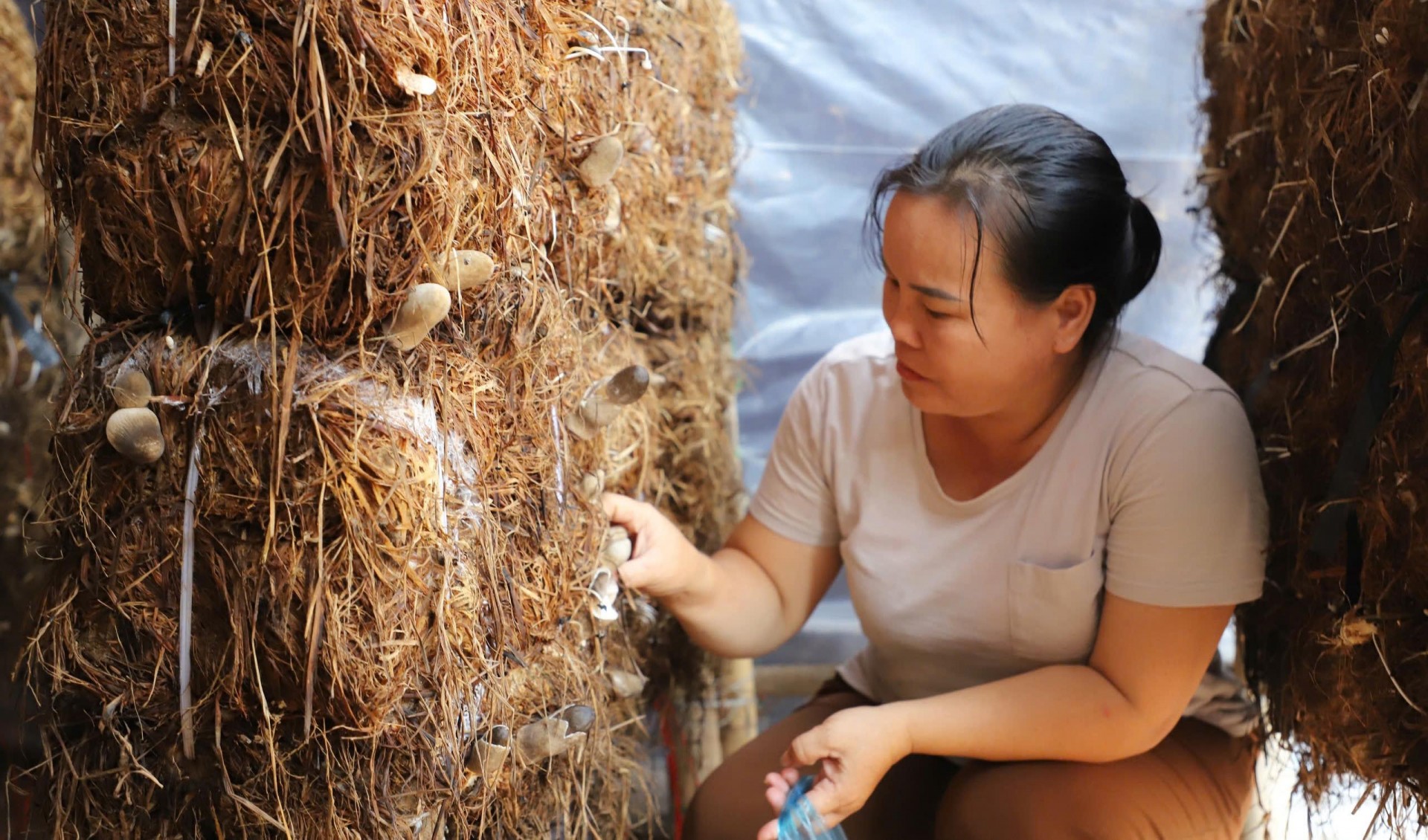 Tâm Thắng – Xã nông thôn mới kiểu mẫu về chuyển đổi số