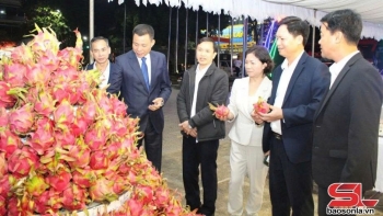 Xây dựng thương hiệu “Thanh long Sơn La”