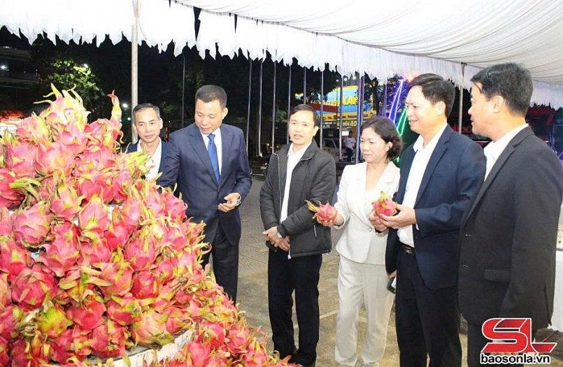 Các đồng chí lãnh đạo tỉnh tham quan sản phẩm thanh long của huyện Thuận Châu.