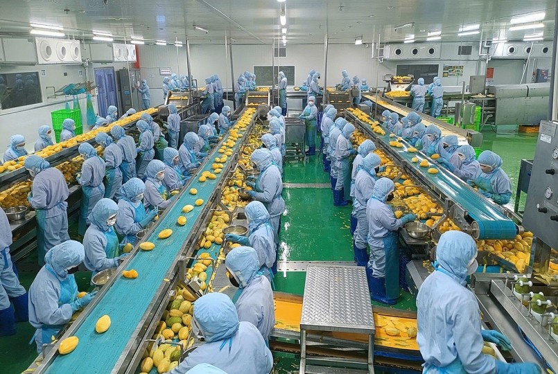 Sầu riêng giảm tốc kéo lùi toàn ngành rau quả