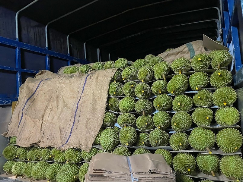 Xuất khẩu sầu riêng và bài toán chất lượng bền vững