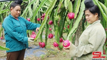 Ứng dụng công nghệ vào sản xuất