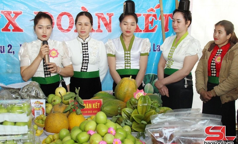 Gian hàng quảng bá, giới thiệu sản phẩm của HTX Đoàn Kết, xã Mường Bú, huyện Mường La. Gian hàng quảng bá, giới thiệu sản phẩm của HTX Đoàn Kết, xã Mường Bú, huyện Mường La.