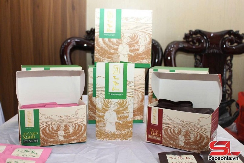 Sản phẩm trà của Công ty TNHH Trà Thu Đan, xã Phổng Lái, huyện Thuận Châu đạt sản phẩm OCOP 4 sao.