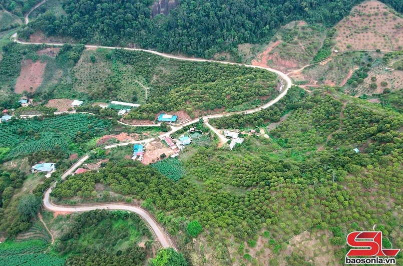 Vân Hồ tập trung chăm sóc cây ăn quả Vân Hồ tập trung chăm sóc cây ăn quả