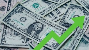 Tỷ giá USD lập đỉnh mới, vượt mốc 26.300 đồng tại nhiều ngân hàng