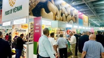 Hàng Việt mở rộng cánh cửa vào Á Âu