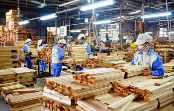 Ngành gỗ Việt đạt mục tiêu xuất khẩu 18 tỷ USD trong năm 2025