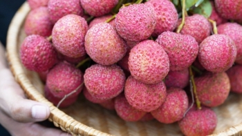 Những thực phẩm “đại kỵ” với vải ai cũng cần biết