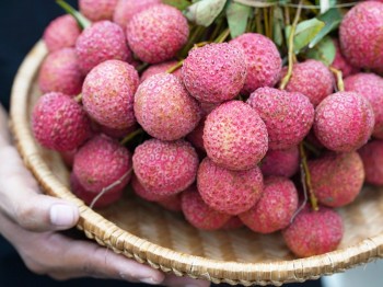 Những thực phẩm “đại kỵ” với vải ai cũng cần biết