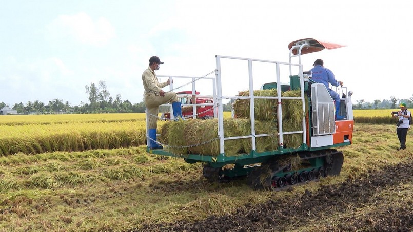 Chuyển đổi tư duy canh tác trong trồng trọt